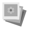 Input - Placeholder 1